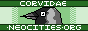 corvidae.png